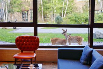 长白山吉视传媒铂尔曼度假酒店·大堂吧 User Photo