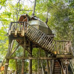 Fanpu Life User Photo