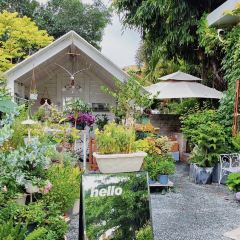 summercafe User Photo