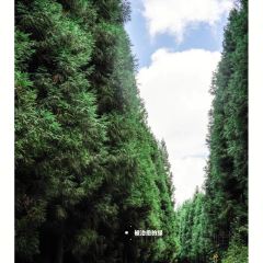 芦山县韩家庄农家乐 User Photo