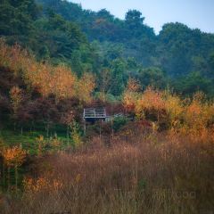 柒月麓山 여행 사진
