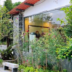 TU ZAO REN GU ảnh của người dùng