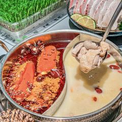 好彩猪肚鸡(中原万达店) User Photo