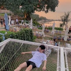 Papa BeachPapa Beach張用戶圖片
