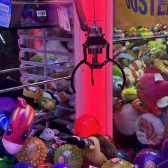 Dave & Buster's張用戶圖片