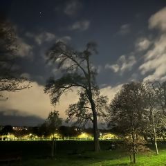 Söderberg The Meadows User Photo