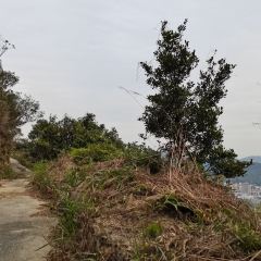 三板溪生态渔村 User Photo
