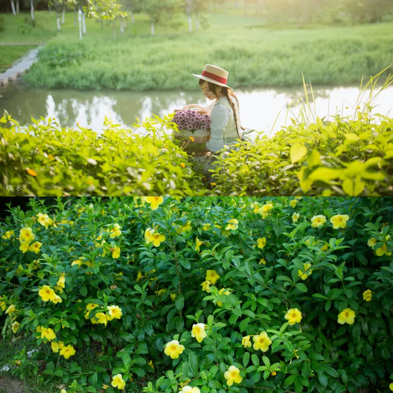 深圳中心公園