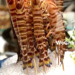 東湧碼頭海鮮火鍋（麥地店）張用戶圖片