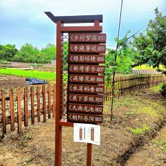 尚田大院張用戶圖片