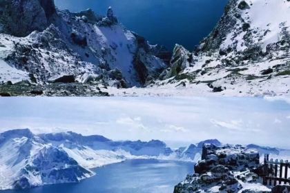 震海贝烤贝(延吉总店)