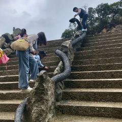 莽山天台山美食 User Photo