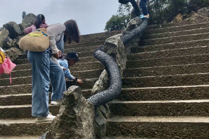 莽山天台山美食