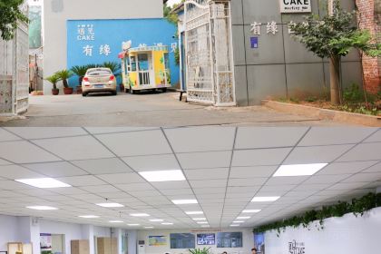 Yujian CAKE Cake (anyang)