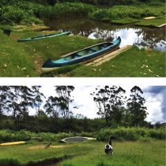 Vakona Forest Lodge User Photo
