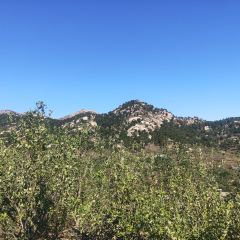 北镇龙岗子生态园 User Photo