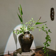古朴山房 User Photo