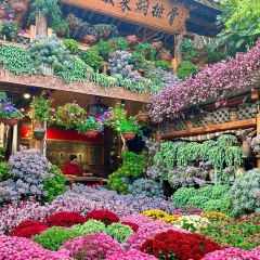 912张宜花园餐厅 User Photo
