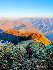 아라시마 산