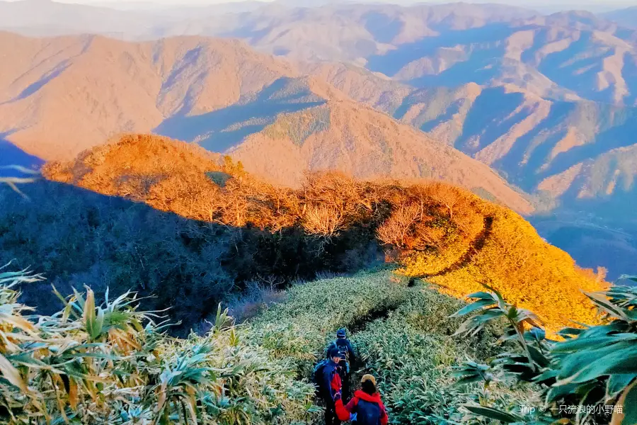 아라시마 산