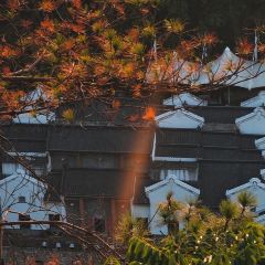 云卷云书咖啡厅 User Photo