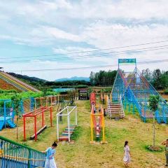 山里食茶馆 여행 사진