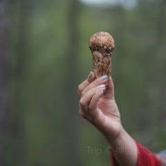 画山藏餐 User Photo