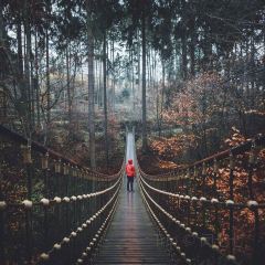 Pfälzer Wald Stub'n User Photo
