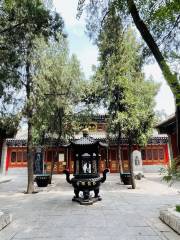 Wolongchan Temple
