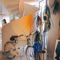 有屿UnitCoffee(月湖店) User Photo