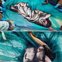 海江渔家 ảnh của người dùng