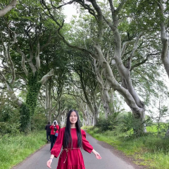 The Belltower, Dark Hedges Estate ảnh của người dùng