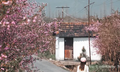 莫干山風景名勝区