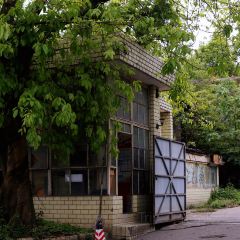 电子厂餐馆 여행 사진