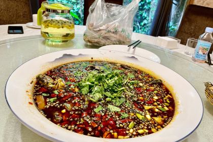 Chenfulaozihaoyuzhuang (xinjin)