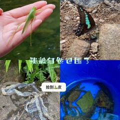 一茶一坐农庄 User Photo