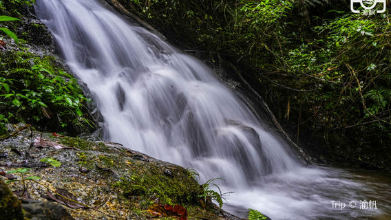 Tianjing Mountain National Forest Park