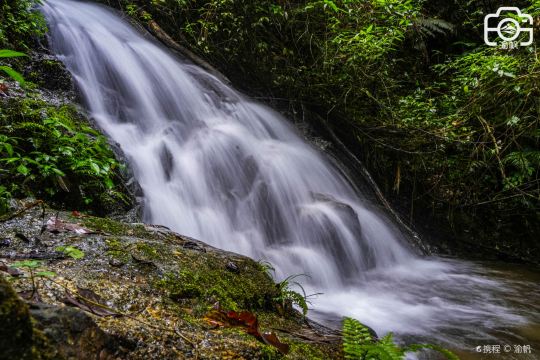 Tianjing Mountain National Forest Park