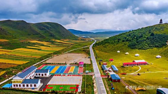 Langdu Wetland Grassland