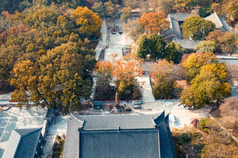 神山森林公園