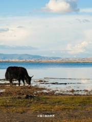 Sunset Village, Qinghai Lake