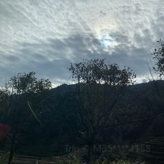 莽山天台山美食 User Photo