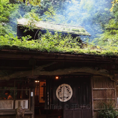 Sansai Cuisine Mitakien 여행 사진
