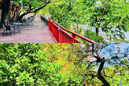 真鹅味食神农庄