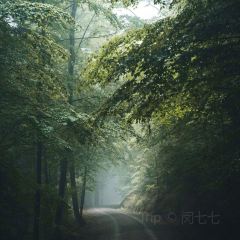Pfälzer Wald Stub'n User Photo