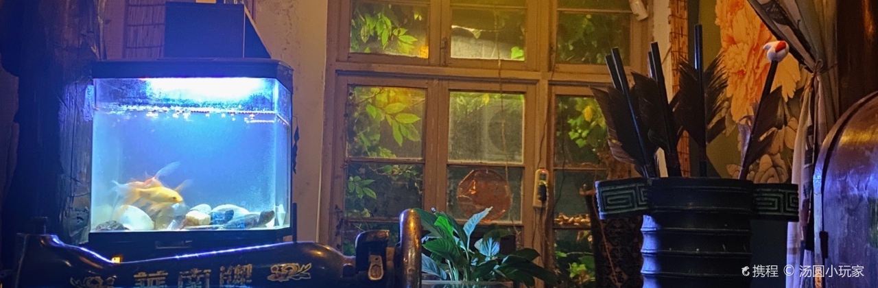 798小酒馆(裕后街店)