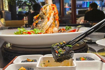 TAN ZONG DUO JIAO YU TOU