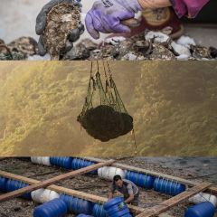 哈仙島興旺漁家餐廳張用戶圖片