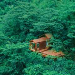 融創由心谷·知味由心餐廳張用戶圖片