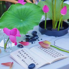 梨园雅舍 User Photo